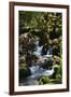 Falls in the Forest I-Brian Moore-Framed Photographic Print