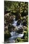 Falls in the Forest I-Brian Moore-Mounted Photographic Print