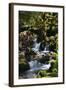 Falls in the Forest I-Brian Moore-Framed Photographic Print