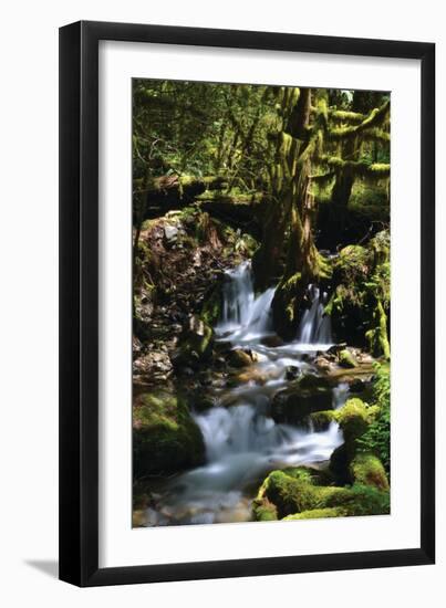 Falls in the Forest I-Brian Moore-Framed Photographic Print