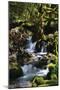 Falls in the Forest I-Brian Moore-Mounted Photographic Print