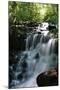 Falls in the Forest II-Brian Moore-Mounted Premium Photographic Print