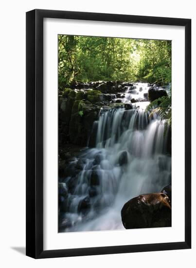 Falls in the Forest II-Brian Moore-Framed Photographic Print