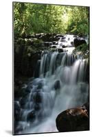 Falls in the Forest II-Brian Moore-Mounted Photographic Print