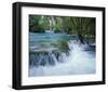 Falls in the Wild-null-Framed Art Print