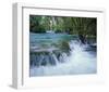 Falls in the Wild-null-Framed Art Print