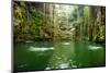 Falls Near Chichen Itza Mexico-null-Mounted Art Print