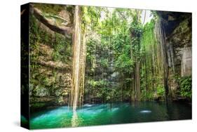 Falls Near Chichen Itza Mexico-null-Stretched Canvas