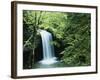 Falls of Little Stony, Jefferson National Forest, Virginia, USA-Charles Gurche-Framed Photographic Print