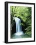 Falls of Little Stony, Jefferson National Forest, Virginia, USA-Charles Gurche-Framed Photographic Print