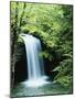 Falls of Little Stony, Jefferson National Forest, Virginia, USA-Charles Gurche-Mounted Photographic Print