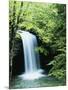 Falls of Little Stony, Jefferson National Forest, Virginia, USA-Charles Gurche-Mounted Photographic Print