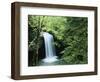 Falls of Little Stony, Jefferson National Forest, Virginia, USA-Charles Gurche-Framed Photographic Print