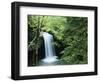 Falls of Little Stony, Jefferson National Forest, Virginia, USA-Charles Gurche-Framed Photographic Print