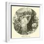 Falls of the Aar at Handek-null-Framed Giclee Print