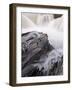 Falls on Kicking Horse River, Yoho Nat'l Park, UNESCO World Heritage Site, British Columbia, Canada-James Hager-Framed Photographic Print