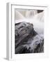 Falls on Kicking Horse River, Yoho Nat'l Park, UNESCO World Heritage Site, British Columbia, Canada-James Hager-Framed Photographic Print