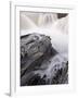 Falls on Kicking Horse River, Yoho Nat'l Park, UNESCO World Heritage Site, British Columbia, Canada-James Hager-Framed Photographic Print