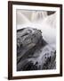 Falls on Kicking Horse River, Yoho Nat'l Park, UNESCO World Heritage Site, British Columbia, Canada-James Hager-Framed Photographic Print