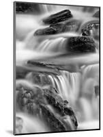 Falls on Logan Creek, Glacier National Park, Montana, United States of America, North America-James Hager-Mounted Photographic Print