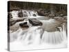 Falls on Nigel Creek, Banff National Park, UNESCO World Heritage Site, Alberta, Canada-James Hager-Stretched Canvas