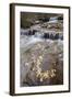 Falls on the Big Bear Creek in the Fall-James Hager-Framed Photographic Print