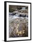 Falls on the Big Bear Creek in the Fall-James Hager-Framed Photographic Print