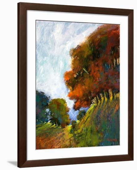 Falls Romance IV-Michael Tienhaara-Framed Art Print