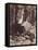 Falls, Yosemite, C.1860-Carleton Emmons Watkins-Framed Stretched Canvas