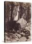 Falls, Yosemite, C.1860-Carleton Emmons Watkins-Stretched Canvas