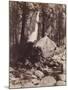 Falls, Yosemite, C.1860-Carleton Emmons Watkins-Mounted Giclee Print