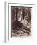 Falls, Yosemite, C.1860-Carleton Emmons Watkins-Framed Giclee Print