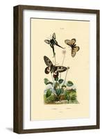 False Apollo, 1833-39-null-Framed Giclee Print