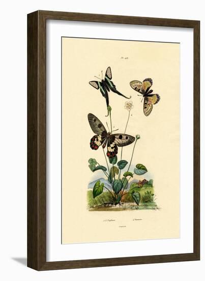 False Apollo, 1833-39-null-Framed Giclee Print