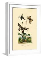 False Apollo, 1833-39-null-Framed Giclee Print