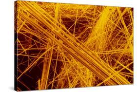 false Col SEM of Amosite Fibres-Dr. Jeremy Burgess-Stretched Canvas