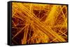false Col SEM of Amosite Fibres-Dr. Jeremy Burgess-Framed Stretched Canvas