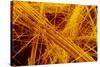 false Col SEM of Amosite Fibres-Dr. Jeremy Burgess-Stretched Canvas