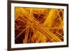 false Col SEM of Amosite Fibres-Dr. Jeremy Burgess-Framed Photographic Print