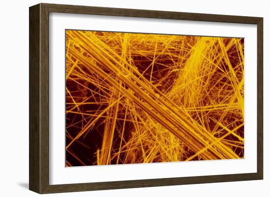 false Col SEM of Amosite Fibres-Dr. Jeremy Burgess-Framed Photographic Print