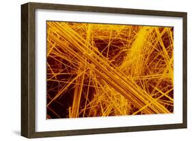 false Col SEM of Amosite Fibres-Dr. Jeremy Burgess-Framed Photographic Print