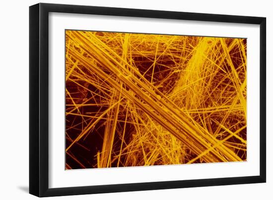 false Col SEM of Amosite Fibres-Dr. Jeremy Burgess-Framed Photographic Print