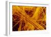 false Col SEM of Amosite Fibres-Dr. Jeremy Burgess-Framed Photographic Print