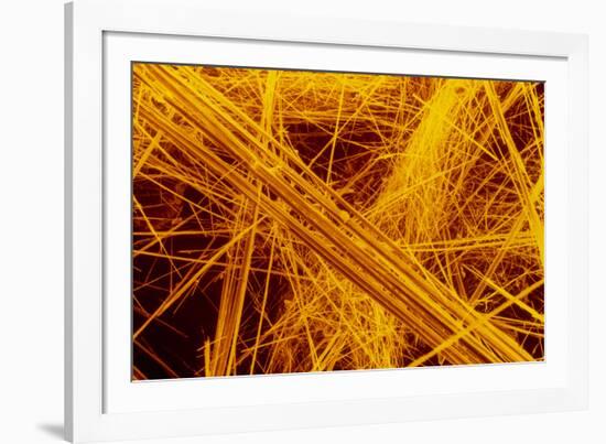 false Col SEM of Amosite Fibres-Dr. Jeremy Burgess-Framed Photographic Print