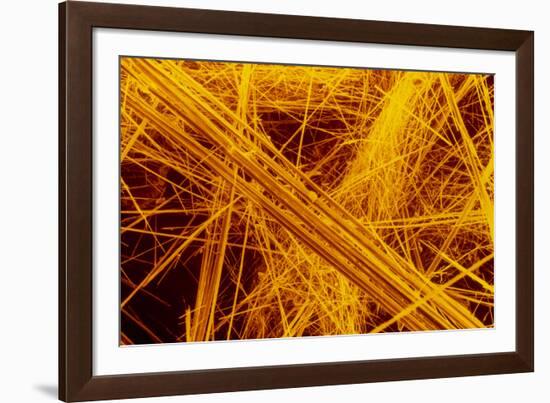 false Col SEM of Amosite Fibres-Dr. Jeremy Burgess-Framed Photographic Print