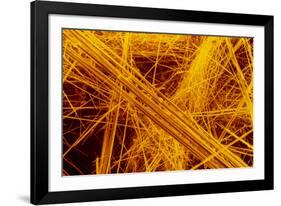 false Col SEM of Amosite Fibres-Dr. Jeremy Burgess-Framed Photographic Print