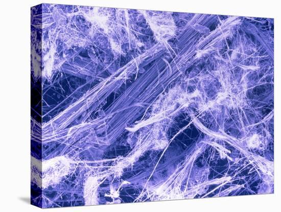 False Col. SEM of Crocidolite Fibres.-Dr. Jeremy Burgess-Stretched Canvas