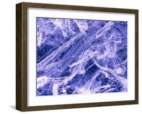 False Col. SEM of Crocidolite Fibres.-Dr. Jeremy Burgess-Framed Photographic Print