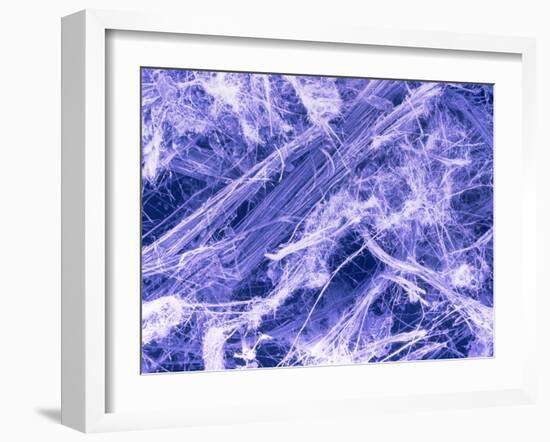 False Col. SEM of Crocidolite Fibres.-Dr. Jeremy Burgess-Framed Photographic Print