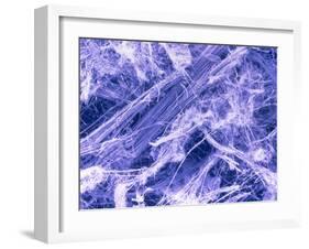 False Col. SEM of Crocidolite Fibres.-Dr. Jeremy Burgess-Framed Photographic Print